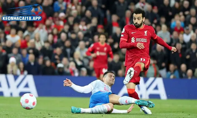 Ứng dụng lịch thi đấu bóng đá và chiến thuật soi kèo